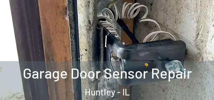 Garage Door Sensor Repair Huntley - IL